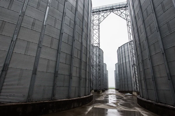 Elevadores de granos del productor de semillas en la región de Ternopol, Ucrania — Foto de Stock