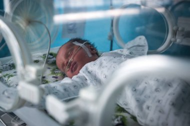 Kramatorsk, Donetsk region, Ukrayna annelik hastanede yoğun bakım ünitesinde bir kuluçka Prematüre bir bebek