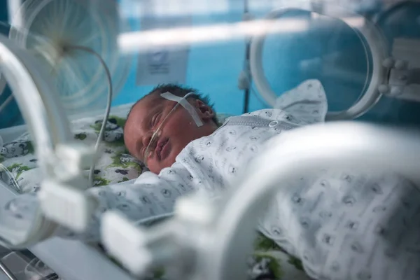 A premature baby in an incubator in intensive care unit in the maternity hospital in Kramatorsk, Donetsk region, Ukraine — Stock Photo, Image