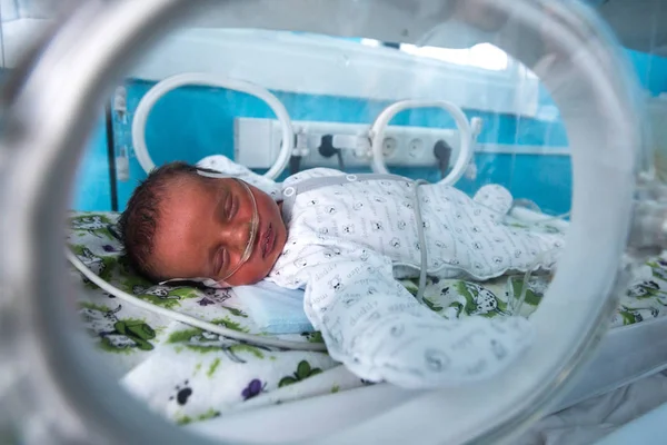 A premature baby in an incubator in intensive care unit in the maternity hospital in Kramatorsk, Donetsk region, Ukraine — Stock Photo, Image