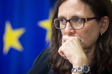 İsveçli politikacı, Avrupa Komiseri ticaret Cecilia Malmstrm sırasında düzenlediği basın toplantısında Kiev, Ukrayna