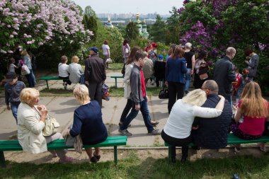 Merkez Kiev, Ukrayna Botanik bahçesinde çiçek açması leylak insanlara hayranlık duyuyorum