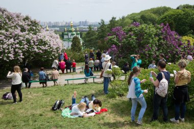 Merkez Kiev, Ukrayna Botanik bahçesinde çiçek açması leylak insanlara hayranlık duyuyorum