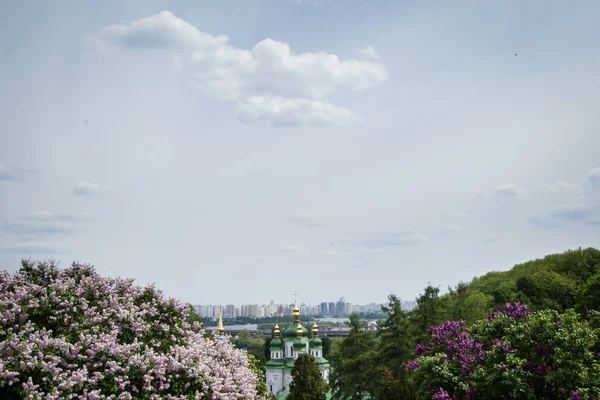 Перегляд квітучій бузку і міських архітектури в центрі Києва — стокове фото