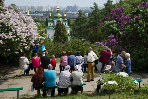 Люди захоплюються квітучій бузку в ботанічному саду в центрі Києва — стокове фото