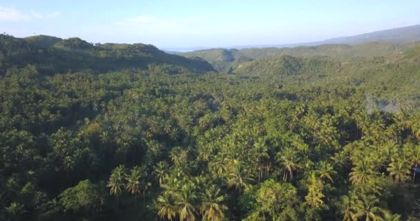 Cebu Tropischer Wald Luftaufnahme — Stockvideo