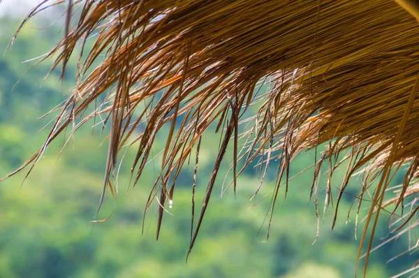 Toits faits de feuilles dans les villages ruraux . — Photo