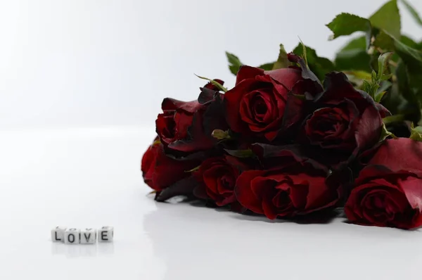 Valentine's Day Concept, Red rose on white background. — Stock Photo, Image