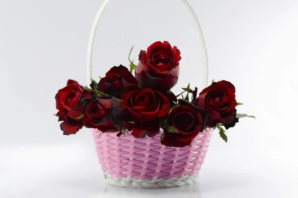 Valentinstag-Konzept, rote Rose auf weißem Hintergrund. — Stockfoto