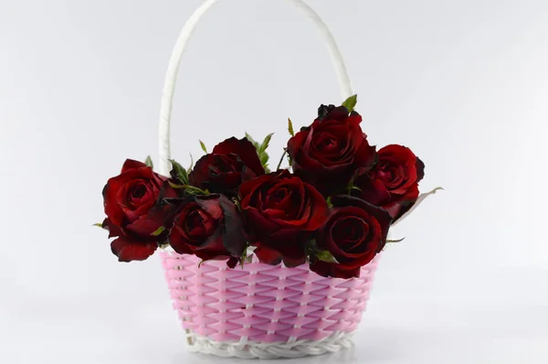 Valentinstag-Konzept, rote Rose auf weißem Hintergrund. — Stockfoto