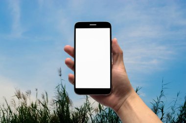 Gökyüzü ve bulutlar doğa, arka ortasında çim olduğunu