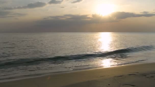 Sylwetka Matki Dziecka Spacerujących Plaży Wieczorem Rozdzielczość — Wideo stockowe