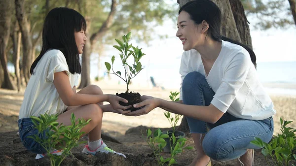 Le famiglie stanno aiutando a far crescere gli alberi per proteggere l'ambiente. 4. — Foto Stock