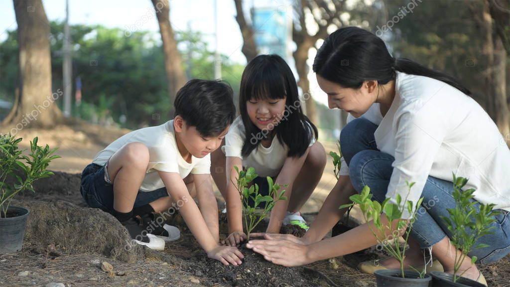 Families are helping to grow trees to protect the environment. 4