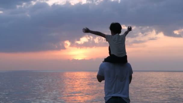 Concepto Vacaciones Silueta Del Hijo Cabalgando Sobre Espalda Padre Caminando — Vídeos de Stock