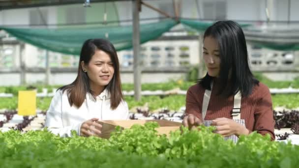 Les Concepts Agricoles Les Jardiniers Récoltent Des Produits Ferme Résolution — Video