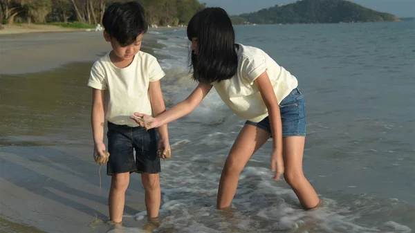 Urlaubskonzept. Geschwister spielen im Meer — Stockfoto