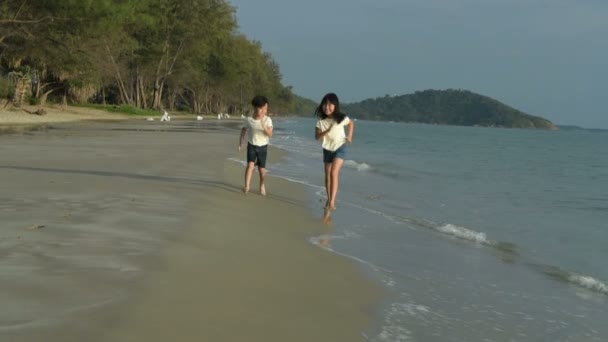 假期的概念 兄弟姐妹们在海滩上奔跑 4K分辨率 — 图库视频影像