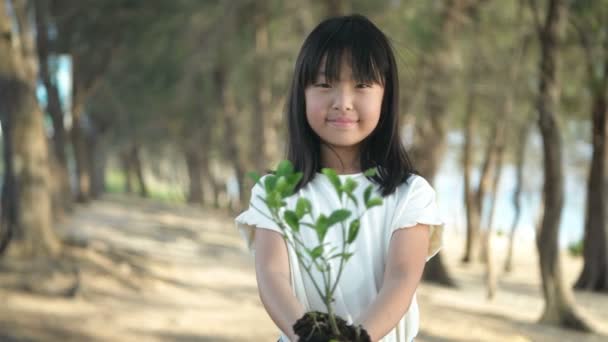 森林植栽の概念 美しい女性が彼女の前に木を伸ばしていた 4K分解能 — ストック動画