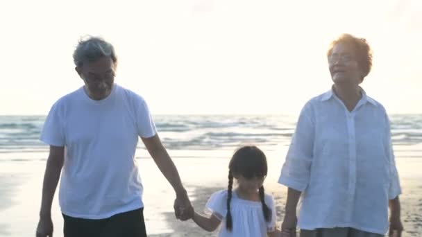 假期的概念 父母们正把侄女送到海滩上散步 4K分辨率 — 图库视频影像