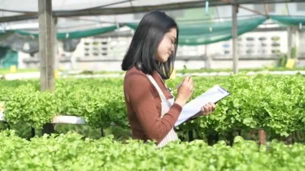 Concetti Agricoli Gli Studenti Stanno Analizzando Piante Nel Giardino Risoluzione — Video Stock