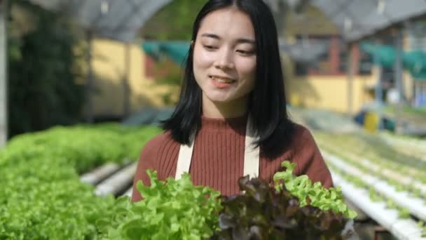 Γεωργικές Έννοιες Κηπουροί Περπατούν Για Μαζέψουν Προϊόντα Στη Φάρμα Ανάλυση — Αρχείο Βίντεο