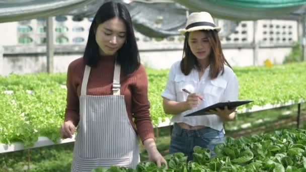 Zemědělské Koncepce Zahradníci Pomáhají Kontrolovat Produkty Farmě Rozlišení — Stock video