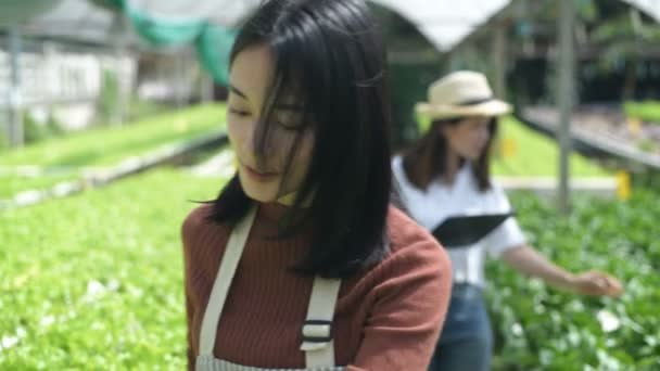 Landwirtschaftskonzepte Gärtner Helfen Die Erzeugnisse Auf Dem Hof Inspizieren Auflösung — Stockvideo