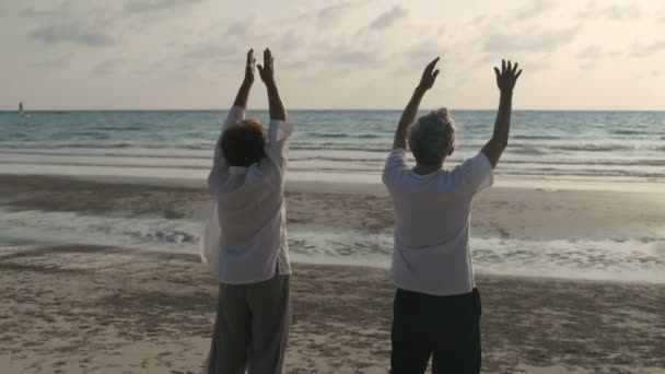 Концепція Свята Старі Люди Практикують Свіжий Подих Біля Моря Резолюція — стокове відео