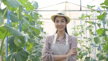 Tarım kavramları. Bahçıvanlar kendi ürünlerine güvenerek duruyorlar. 4k Çözünürlüğü.