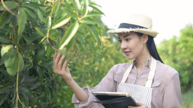 Agricultural concepts. A beautiful woman is using a tablet to work in the garden. 4k Resolution. clipart