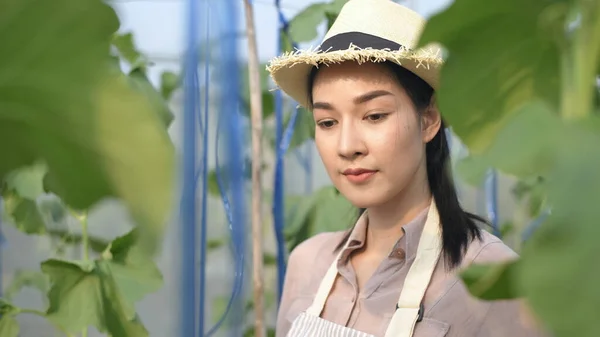 Conceptos Agrícolas Hermosa Chica Está Registrando Crecimiento Las Plantas Invernadero — Foto de Stock