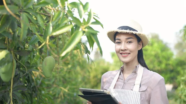 Conceitos Agrícolas Uma Mulher Bonita Está Usando Tablet Para Trabalhar — Fotografia de Stock