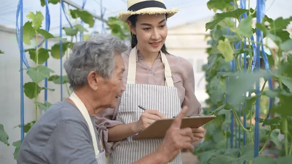 Conceitos Agrícolas Uma Velha Está Ensinando Jardinagem Para Mulheres Jovens — Fotografia de Stock