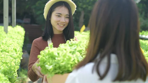 Conceitos Agrícolas Gardeners Mulheres Estão Entregando Legumes Para Clientes Resolução — Fotografia de Stock