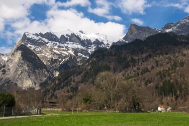 Dağlar taşlar ve orman ile erken baharda. Resmi ön planda bir yeşil çayır, orman ile daha da dağlar ve kayalar kar üstünde o ile olduğunu. Derin mavi gökyüzü bulutlu resmi tamamlar.