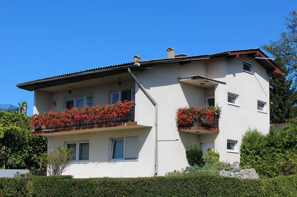 White suburban family house with large front balcony filled with bright red flowers surrounded with freshly cut green hedge on clear blue sky background of warm sunny summer day