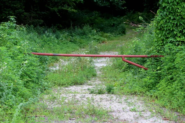Rampa Metálica Oxidada Cerrada Cerrada Que Bloquea Entrada Bosque Local —  Fotos de Stock