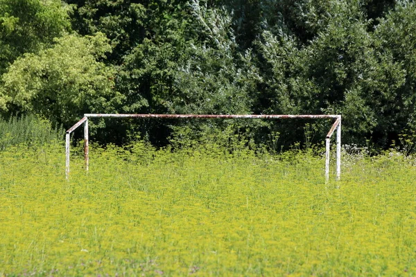 部分锈迹斑斑的老金属足球球门柱的背景图 大地上没有网 四周长满了未修剪的高草 背景是茂密的黄色小花 — 图库照片