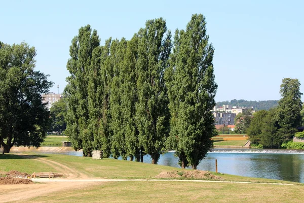 Reihe Von Sehr Hohen Schmalen Bäumen Neben Ruhigen Fluss Mit — Stockfoto