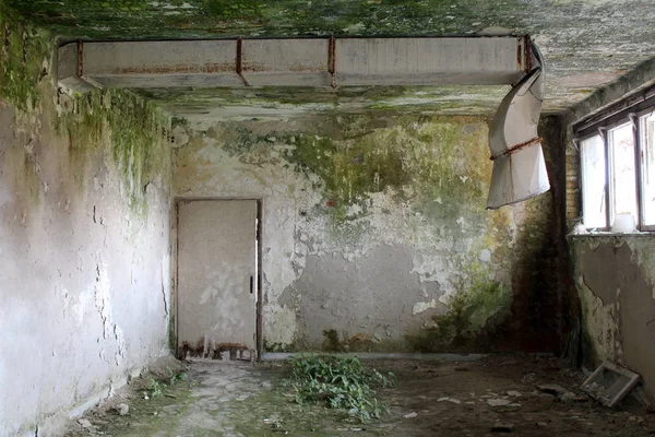 Scarry creepy green moss covered walls of dilapidated room with broken metal industrial ventilation and destroyed windows above moss and grass covered floor at abandoned military complex