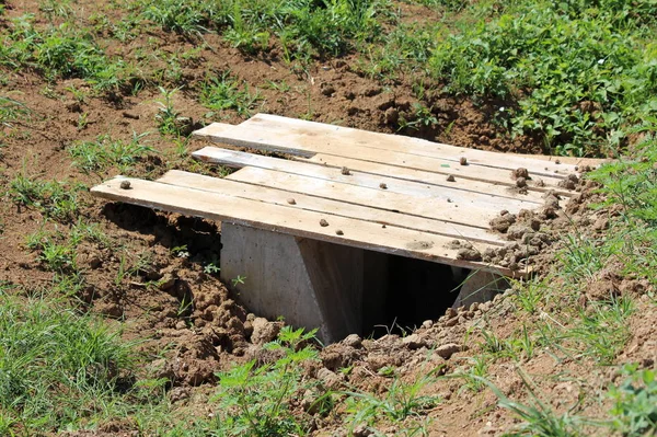 Storm drain concrete entrance temporary covered with wooden boards in various sizes surrounded with dry soil and green grass at local construction site