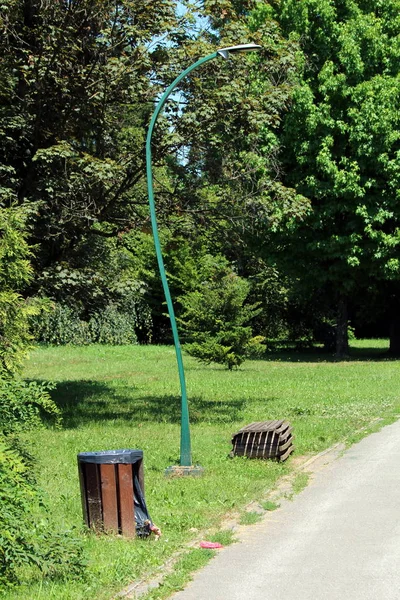 Modern LED street lamp on top of curved metal pole next to unusually shaped wooden bench and broken trash can surrounded with dense trees and uncut grass in local public park