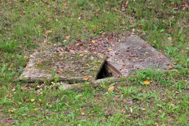 Beton temeli ve dökülen yapraklar ve kesilmemiş çimlerle çevrili yosunlarla kaplı beton rögar kapağı olan tehlikeli, kısmen açık eski rögar kapağı.