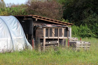 Eski tip ev yapımı geçici tavşan kafesleri küçük ahşap alet kulübesi ve ahşap paletler ve tel çitlerle çevrili bahçe serasının yanında.