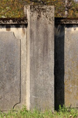 Dekoratif elementleri kısmen yosunlarla kaplı eski beton duvarın bir parçası. Kesilmemiş çimenler ve arka planda ağaçlarla çevrili.
