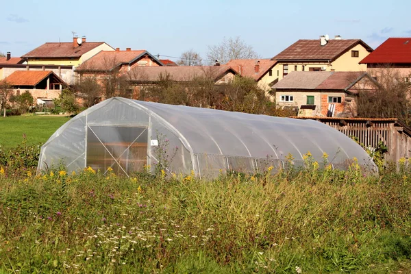新的塑料温室 覆盖着半透明的尼龙 建造在家庭住宅后院 周围是高耸的未修剪的草地和背景的郊区家庭住宅 — 图库照片