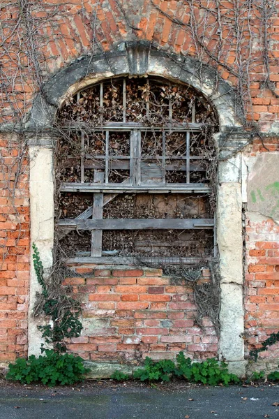 Boarded and closed creepy looking old venetian style red brick abandoned suburban family house entrance covered with dried crawler plants next to paved road