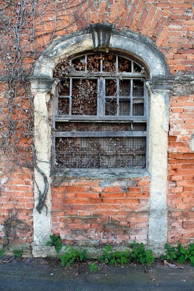 Closed and boarded creepy looking old venetian style red brick abandoned suburban family house entrance covered with dried crawler plants next to paved road