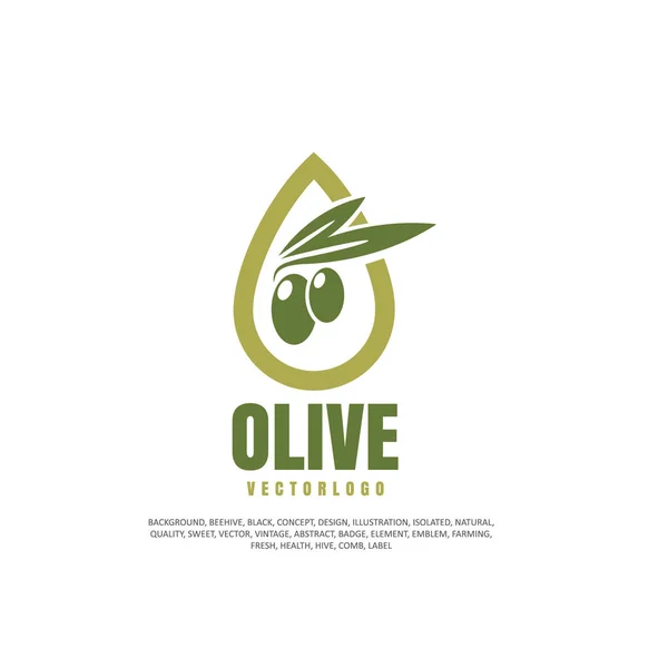 Oliver, vegetabilisk olja, hälsosam mat. Vektorillustration — Stock vektor